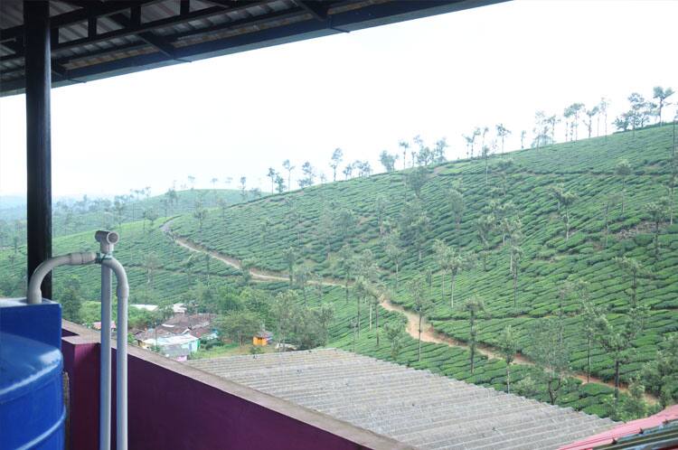 Green Gold Stay Home, Valparai 5